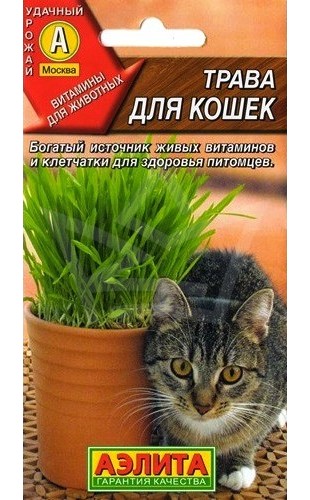 (2024) Трава для кошек и собак 20г #Аэлита