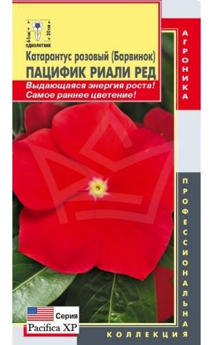 (2023) Барвинок (катарантус розовый) Пацифик Риали Ред F1 8шт #Плазма
