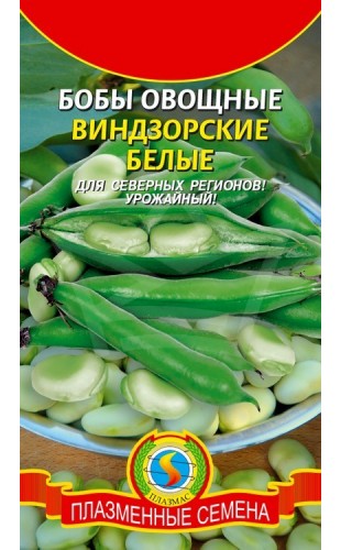 Бобы (овощные) Виндзорские белые 5шт #Плазма