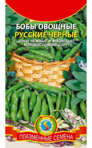 Бобы (овощные) Русские черные 5шт #Плазма