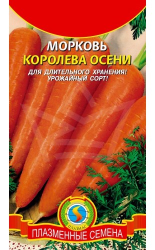 Морковь Королева осени 2г #Плазма