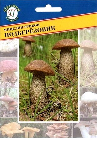 Мицелий грибов Подберезовик 50мл #Престиж