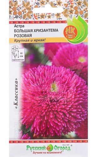 Астра Большая хризантема розовая 50шт #РусскийОгород