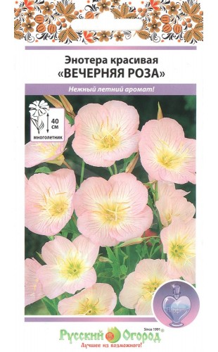 Энотера (красивая двулетняя) Розовая Вечерняя роза 210шт #РусскийОгород
