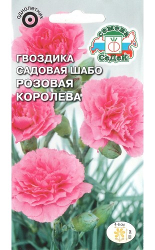 Гвоздика (садовая) Шабо Розовая Королева 0.1г #СеДек