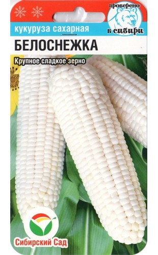 Кукуруза (сахарная) Белоснежка 10шт #СибСад